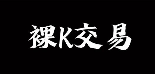 【裸K哥】《裸K哥-裸K交易系统培训系统课》网盘课程下载