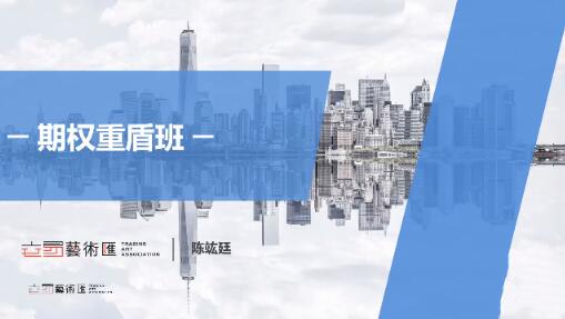 【陈竑廷】《交易艺术汇-期权重盾班 2025》网盘课程下载